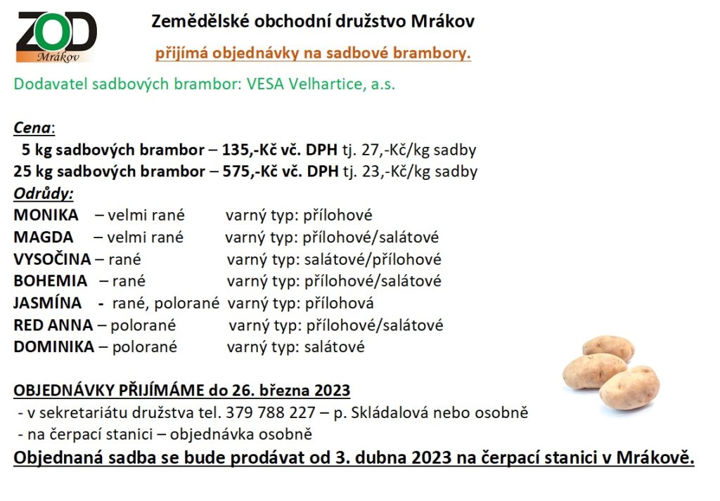 brambory 2023
