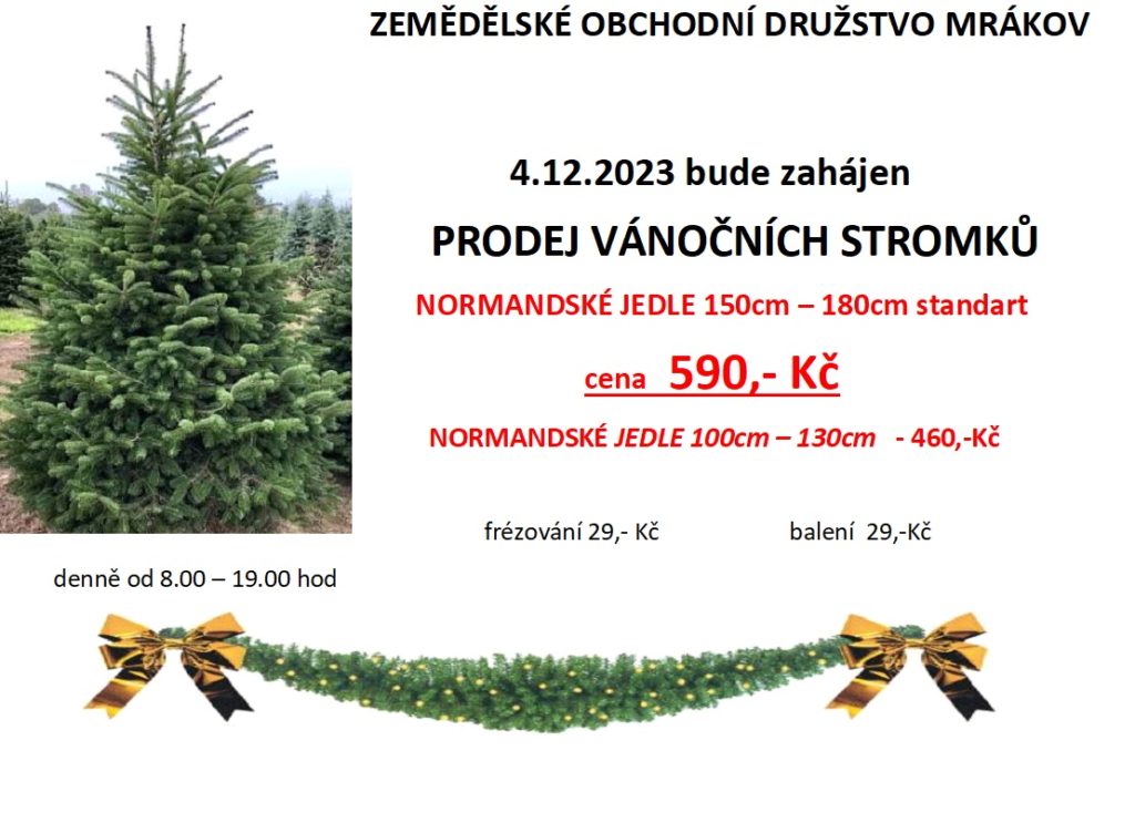 prodej stromků 2023